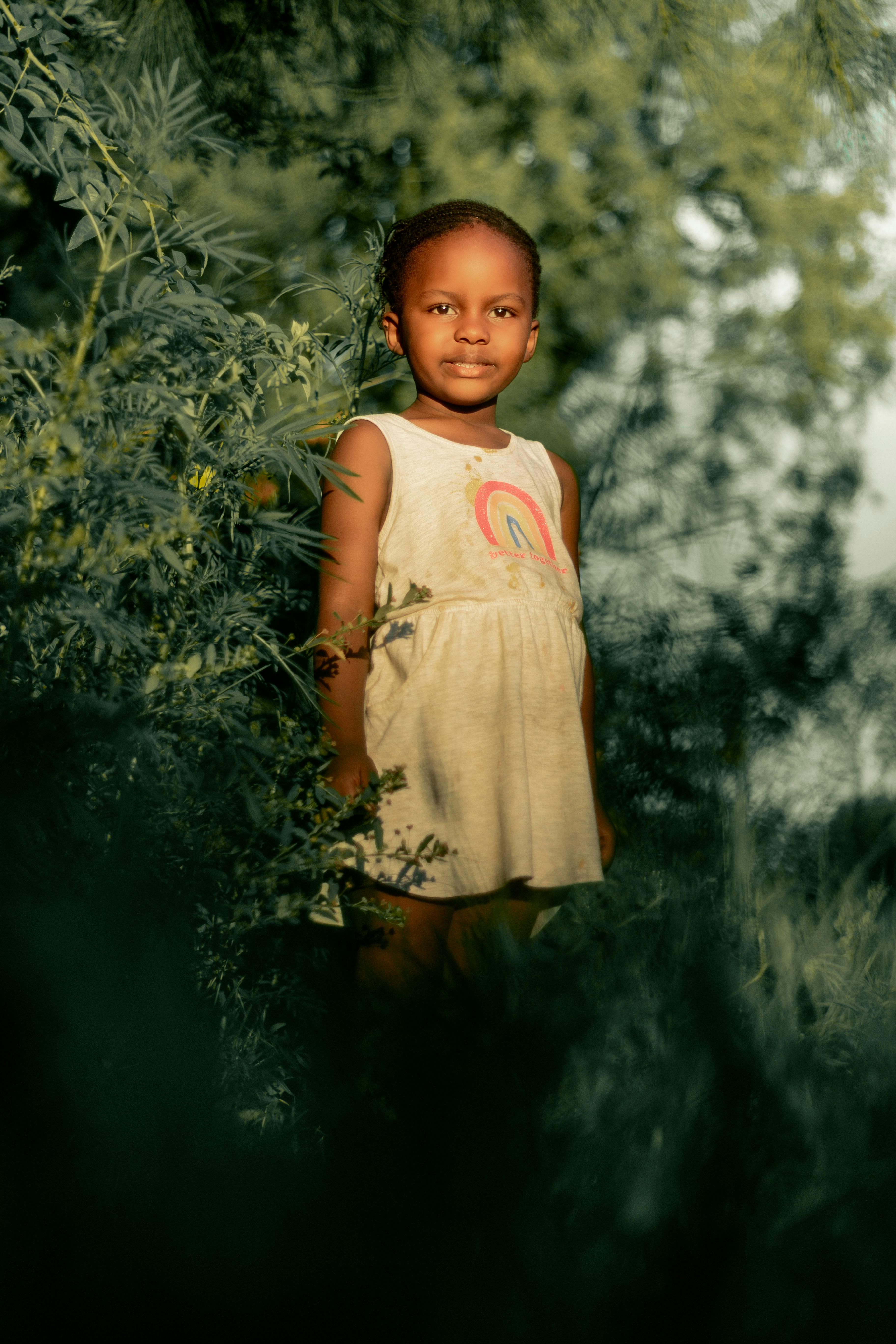 兼容性与稳定性提升示意图